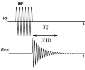 Figura 2.4: Sinal de FID gerado após a aplicação de pulso de RF de 90 o