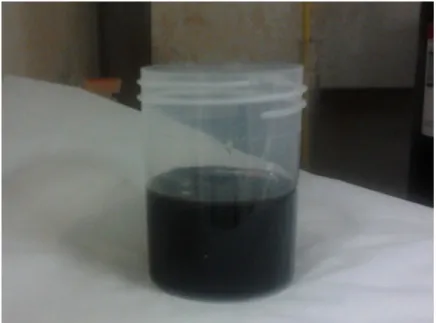 Figura 3.1: Ferrofluido obtido