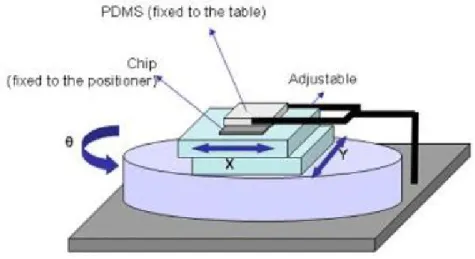 Figura 2.14: Esquema do método de alinhamento do PDMS à base de vidro com os eléc- eléc-trodos (adaptado de Loureiro, 2011).