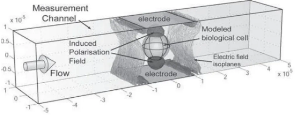 Figura 2.15: Técnica de espectroscopia de impedância aplicada a um microcanal com um determinado fluxo de amostra biológica (adaptado de Gawad et al., 2008).