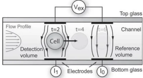 Figura 2.26: Microcanal durante a passagem de uma célula num dos dois pares de eléc- eléc-trodos (adaptado de Gawad et al., 2008).