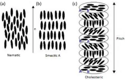 Figure 1.1  –  Schematic representation of the collective arrangement of the rod-like molecules in the  (a) nematic, (b) smectic A and (c) cholesteric phases