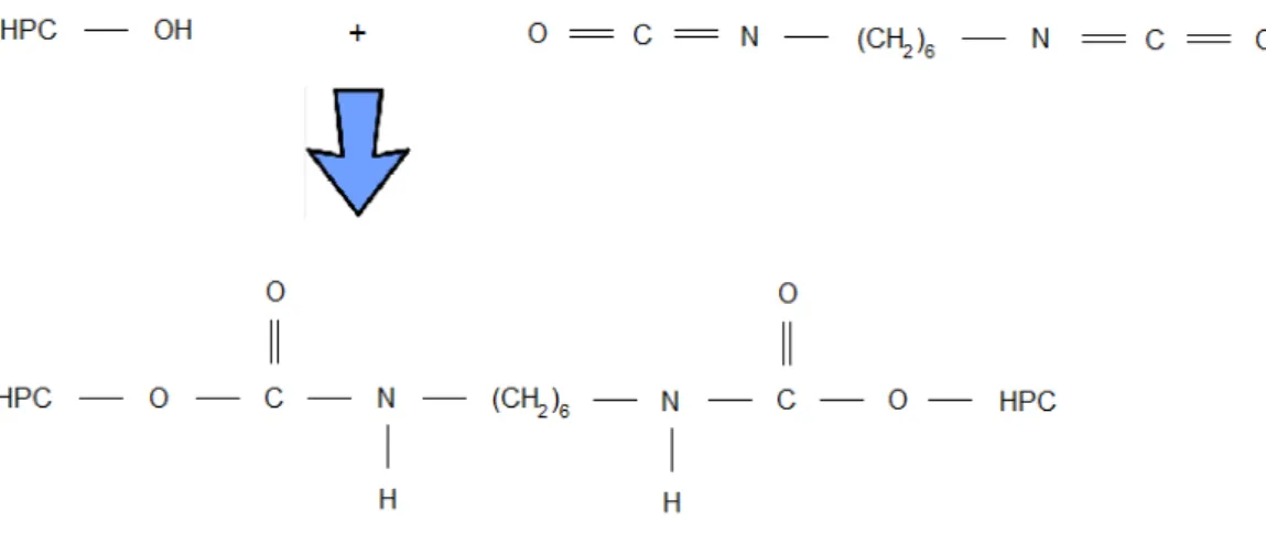 Figure  2.3  –   Schematic  representation  of  HPC  films  preparation.  Kindly  provided  by  Prof