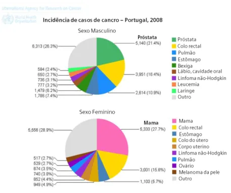 Figura 1.1 Estimativa da incidência de cancro em Portugal, por sexo, no ano de 2008. Adaptado  de [1]