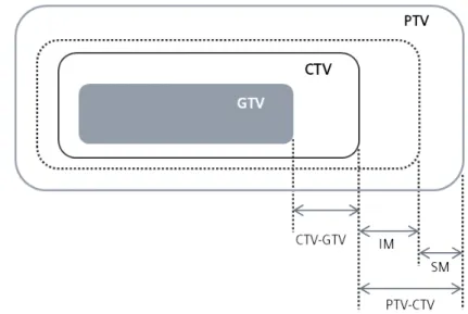 Figura 2.1. Ilustração dos volumes e margens relativas à definição do volume-alvo.[14] 