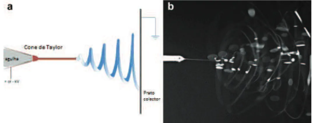 Figura 1.4: Ilustração esquemática do percurso do jacto de solução polimérica no processo de electrofiação; adaptado de [Dabirian et al., 2011].