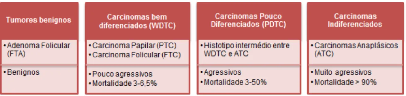 Figura  I.3  -  Classificação  dos  carcinomas  da  tiróide  derivados  das  células  foliculares  (Adaptado  de  Clark e Faquin, 2010).