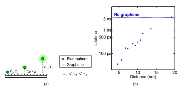 Figure 1.1: Fluorescence lifetime dependence on distance to graphene. (a) Shorter dis- dis-tances yield stronger RET and therefore shorter lifetimes