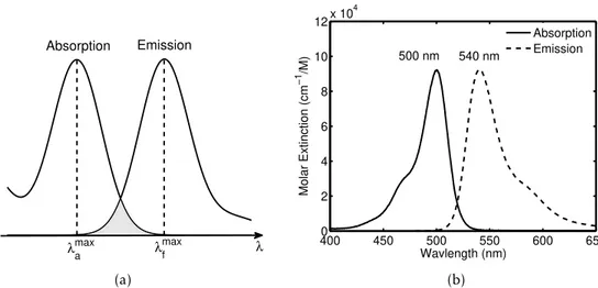 Figure 2.3: Absorption and emission spectra. Their shapes are characteristic of the vi- vi-brational structure of the upper and lower states, respectively