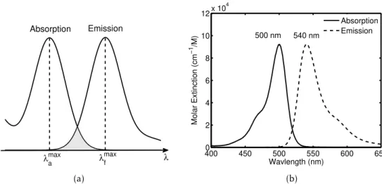 Figure 2.3: Absorption and emission spectra. Their shapes are characteristic of the vi- vi-brational structure of the upper and lower states, respectively