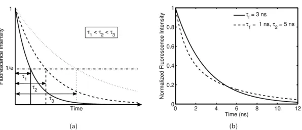 Figure 2.4: Fluorescence lifetime. (a) The influence of lifetime in the shape of the decay curve for a single-exponential decay