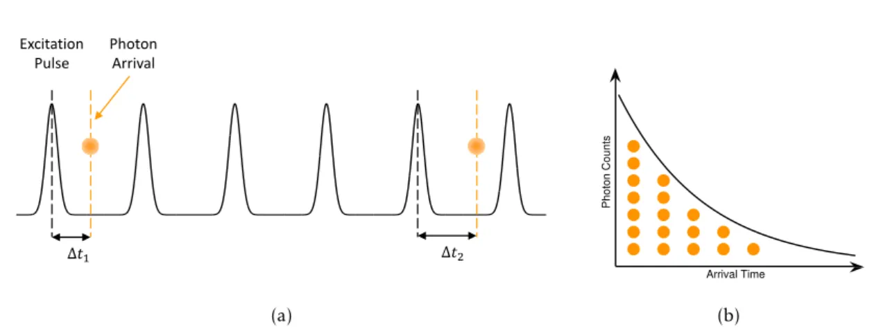 Figure 2.8: Time Correlated Single Photon Counting. Adapted from ref. [49]. (a) The measurement is performed at low fluorescent signal intensities so that the detection of more than one photon per pulse is highly unlikely