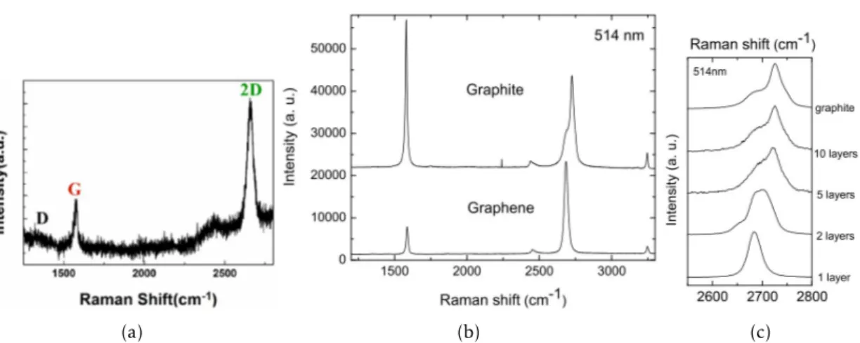 Figure 2.11: Raman features of graphene. (a) Monolayer graphene Raman spectrum [60].