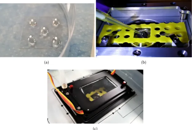 Figure 3.5: Fluorescence lifetime-based DNA molecular beacon biosensor experiment. (a) Five 10 µl samples drop-casted on a graphene surface on a microscope glass coverslip