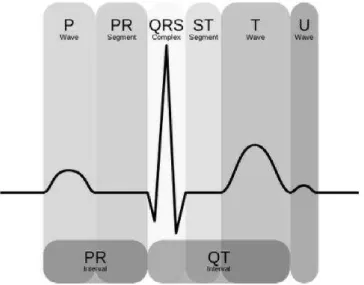 Figure 2.8: Simplified representation of a normal ECG and its typical waveforms. To a trained clinician, these tracings convey a large amount of structural and functional information about the heart and its conduction system