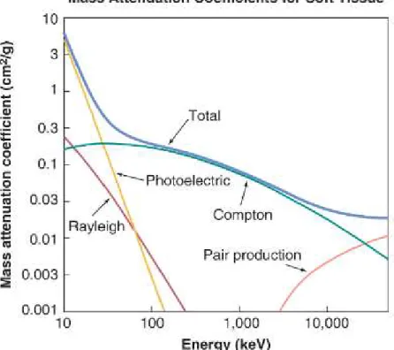Figure 3.4:  Graph of the Rayleigh, Photoelectric, Compton, Pair Production and total (sum of all effects’ 