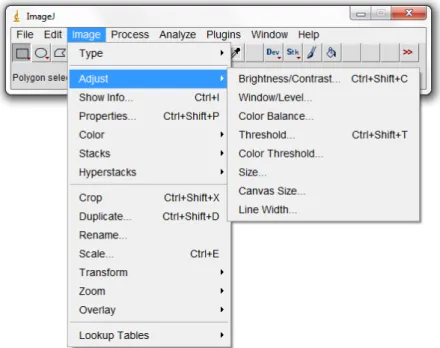 Figure 5.7: ImageJ interface.