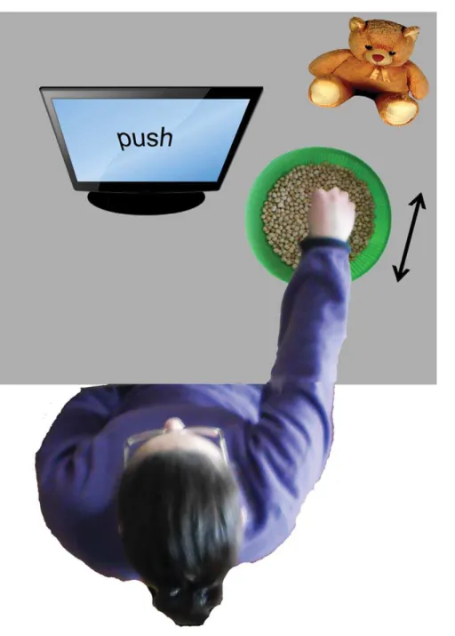 Figure 4. Schematized setup of the ‘‘semantic reference’’ experiment. The arrow indicates the direction of chickpeas displacement.