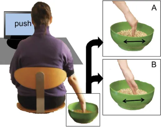 Figure 6. Schematized setup of the ‘‘spatial compatibility’’ experiment. The arrow indicates the direction of chickpeas displacement.