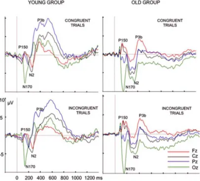 Figure 1.5: Average of ERP waveforms at Fz, Cz, Pz and Oz, obtained by a Stroop test for young and senior participants (Zurrón et al., 2014)