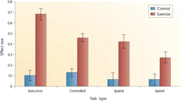 Figure 1.7: Di ff erence in e ff ect size between sedentary and active in regards to di ff erent cognitive processes (Colcombe, Kramer, 2003)