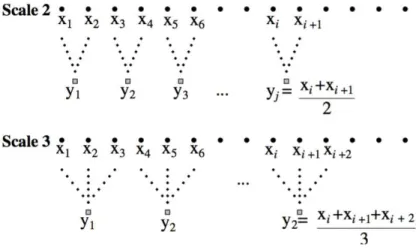 Figure 3.5: Coarse-graining process (Costa et al., 2005)
