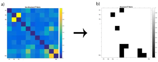 Figure 2.2: (a) example of a weighted adjacency matrix for h2 values, in which every pair-wise edge has a value from 0 to 1