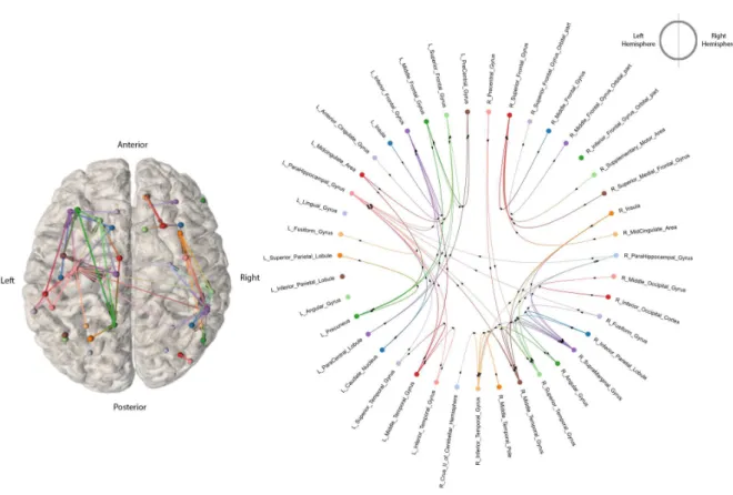 Figure 3.6: High Intensity Stimulation iEEG Connectome for the entire population of subjects (n=18) analysed in our study based on S-PLV values
