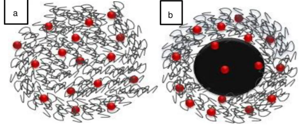 Figure 1.2 - Schematic representation of (a) DOX (red) loaded chitosan/o-HTCC nanoparticles and  (b) DOX loaded chitosan/o-HTCC coated SPION's