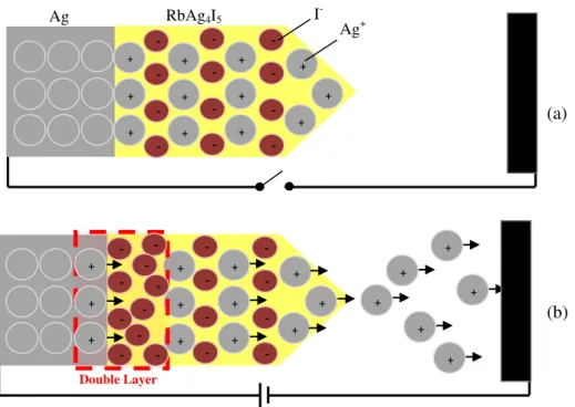 Figure  4.  3. Schematic  representation  of  the  emitter  system  (a)  before  high  voltage  is  applied  and  (b)  after the double layer is formed at the interface silver/electrolyte, where oxidation of silver atoms takes  place