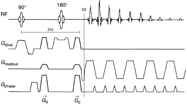 Figure 1.1 - A diffusion-weighted single-shot spin-echo EPI pulse sequence, where PM is the  preparation module and ER is the EPI readout; adapted from [13]