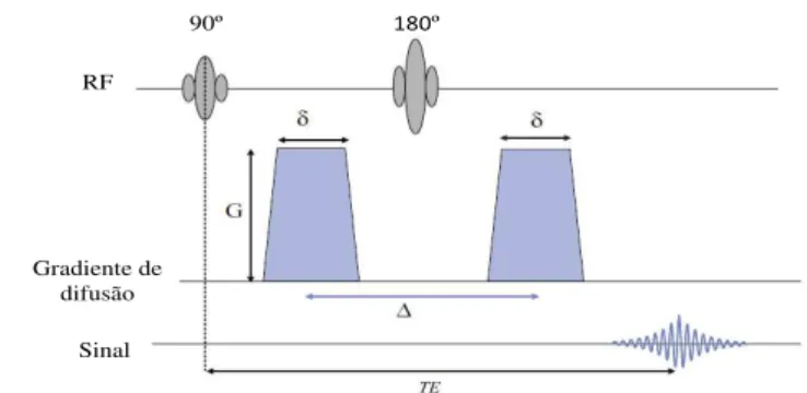 Figura 3.4: Sequência para aquisição de DWI. Um par de gradientes sensível à difusão é adicionado (azul) a uma sequência de spin echo convencional, antes e depois do impulso de 180°