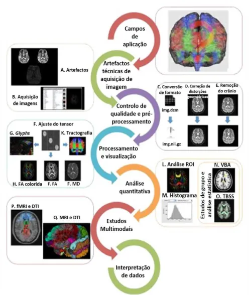 Figura 3.11: Diagrama ilustrativo das etapas típicas de processamento de DWI. O pri- pri-meiro passo corresponde à escolha adequada do protocolo de aquisição (B) tenho em conta os principais artefactos associados a esta modalidade (A)