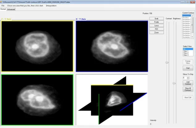 Figure  2.1  -  Ground  Truth  Evaluation  software  interface.  The  cell  is  displayed  from  all  three  orthogonal axes