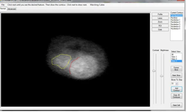 Figure 2.4 - Ground Truth Evaluation software interface.  Image shows two contours drawn on the  same slice