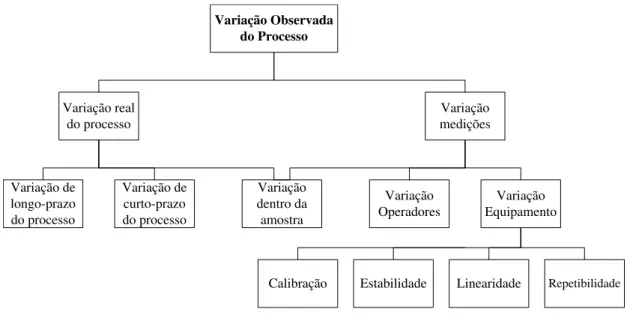 Figura 2.9: Fontes de variação no sistema e processo de medição (Adaptado de Barrentine (1991))
