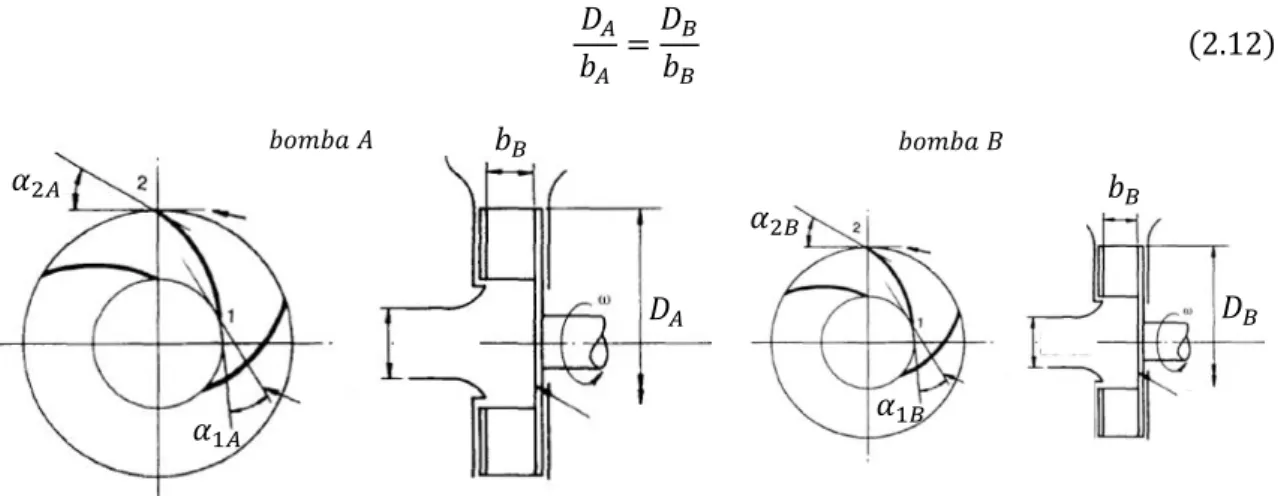 Figura 2-10. Representação de duas bombas geometricamente semelhantes (adaptado) [20]