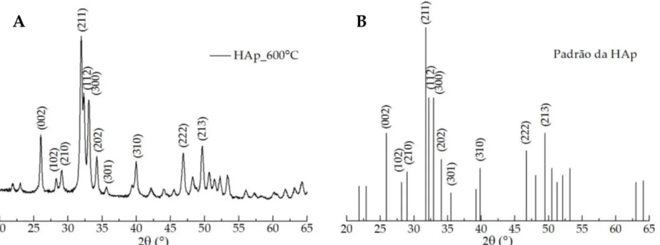Figura 4.2: Comparação entre o espetro de difração de raios-X da HAp pura (x = 0) sinterizada a 600ºC  (A) e os principais picos de difração referentes à HAp retirados da ficha JCPDS #09-0432 (B)