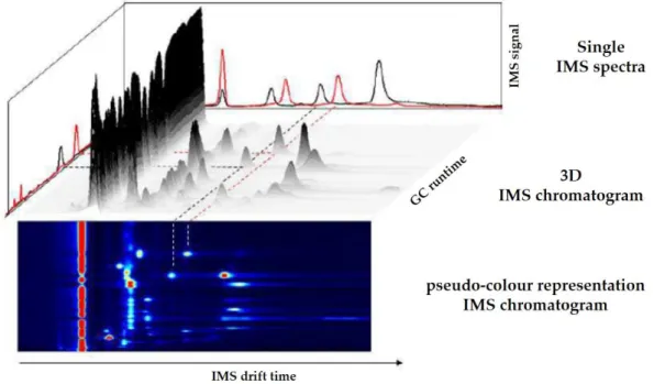 Figure  4.5:  3-dimensional  and  2-dimensional  chromatogram  obtained  by  GC-IMS.  Adapted  from [109]