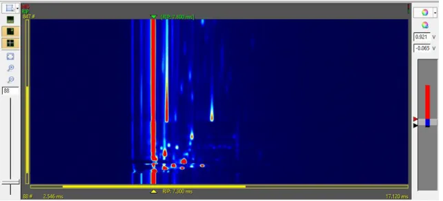 Figure 4.6: The Topographic view of the LAV software. A typical spectrum of a biogenic amine  is shown