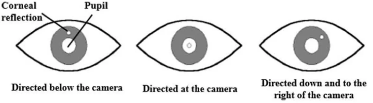 Figure 2.2: Corneal reflection position changes according to the gaze point. Adapted from [15].