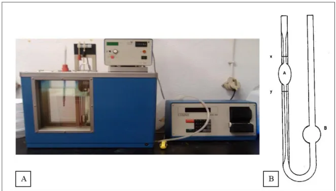 Figure 3.1 A, B- Viscosimetry apparatus used to determinate the chitosan molecular weight (A) and  scheme of the capillary (B)