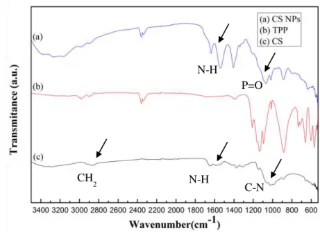 Figure 4.5- FTIR spectra for chitosan nanoparticles, TPP and chitosan between 3400 and 600 cm -1 