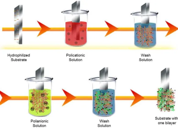 Figure 3.2. Scheme illustrating the layer-by-layer preparation method of a bilayer film