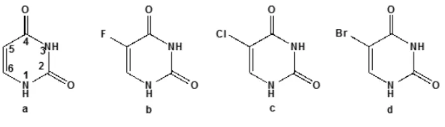 Figure 1.5: The nucleobases: a- Uracil,b- 5-fluorouracil,c- 5-chlorouracil,d- 5-bromouracil.