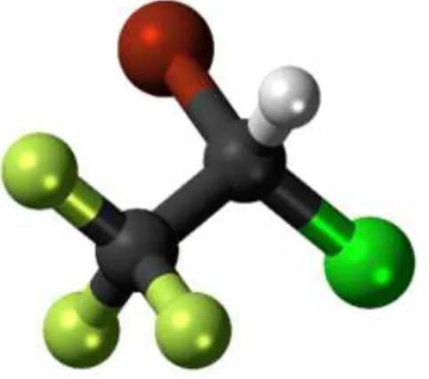 Figure 1.6: Structure of the halothane molecule. Adapted from [42]. Atom colors mean: F - -light green; Cl - green; Br - red; C- black; H - white.