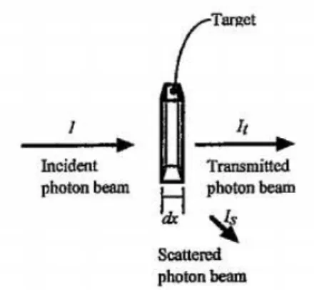 Figure 2.3: Possible light interactions with target sample. I designates the incident photon beam intensity, I s designates the scattered photon beam intensity and I t is the transmitted photon beam intensity