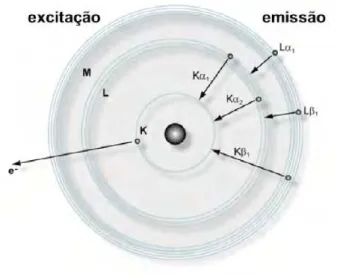 Figura 3.2: esquema das transições electrónicas no átomo (adaptado de [71]) 16