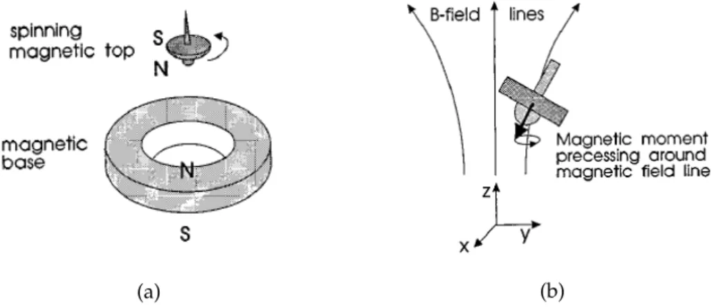 Figure 2.4: a) diagram of the Levitron TM setup and b) diagram of the spin-precessing stabilization process [7].