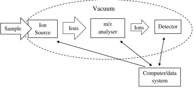 Figure 1.1  –  Schematics of the various components present in a mass spectrometer. Represented are: 